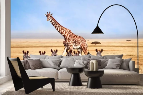 Visualisation du produit