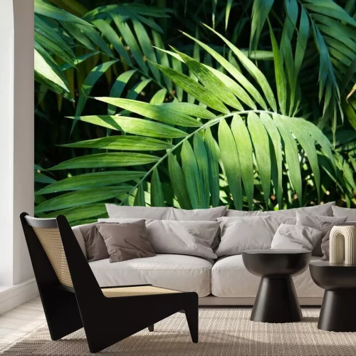 Papier peint  Feuilles et rayons de soleil