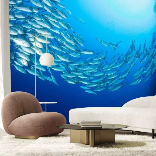 Papier peint  Banc de poissons
