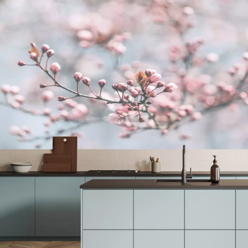 Papier peint  Fleur de cerisier sur fond bleu