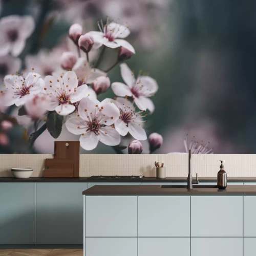 Papier peint  Gros plan d'une fleur de cerisier de printemps