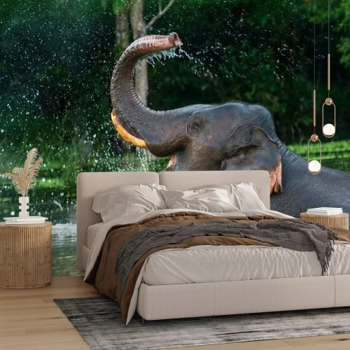 Papier peint  Un éléphant dans l'eau