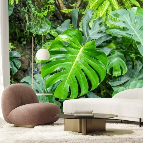 Papier peint  Plantes tropicales dans une forêt exotique