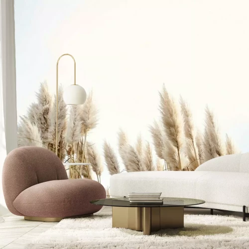 Papier peint  Plantes beiges sur fond de ciel