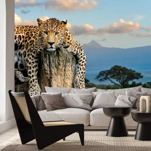 Papier peint  Guépard assis sur un arbre