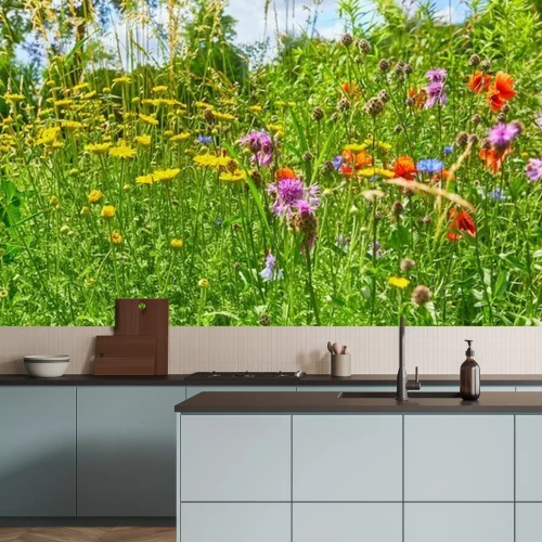 Papier peint  Prairie avec de l'herbe et des fleurs