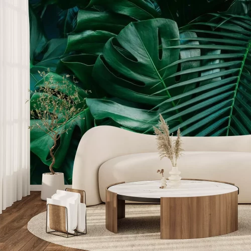 Papier peint  Feuilles de Monstera