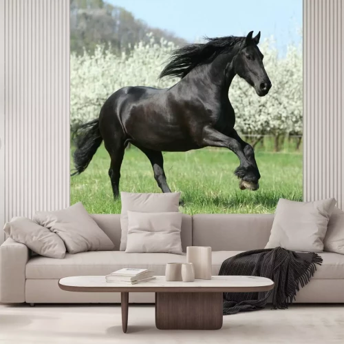 Papier peint  Paysage de printemps avec un cheval