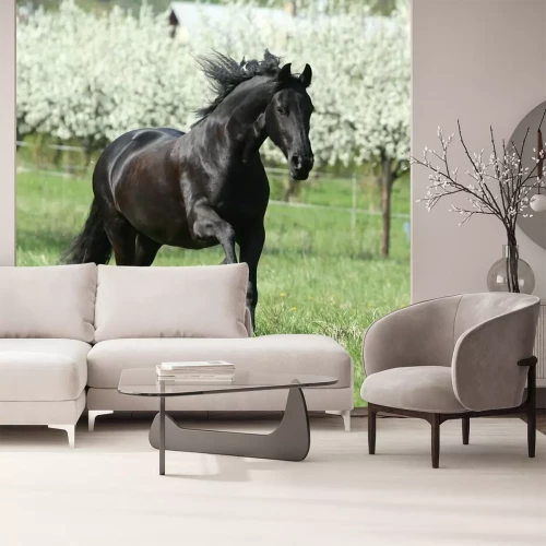 Papier peint  Cheval noir sur fond d'arbres