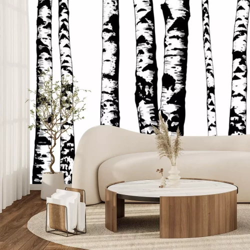 Papier peint  Troncs monochromes dans une forêt de bouleaux
