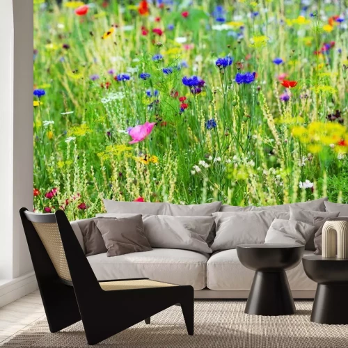 Papier peint  Une prairie de fleurs colorées