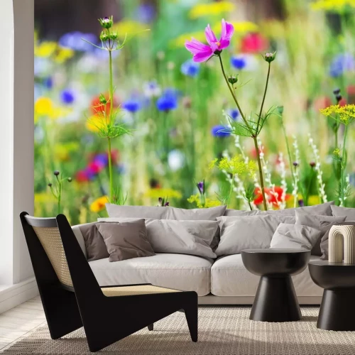 Papier peint  Fleurs colorées dans une prairie