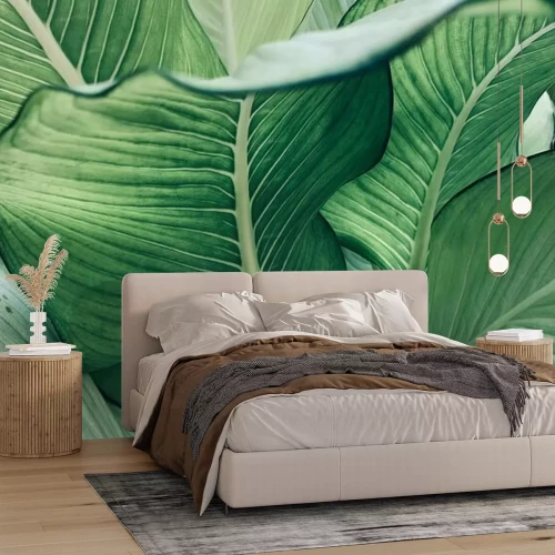 Papier peint  Feuilles vertes d'une plante exotique