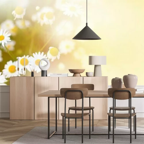 Papier peint  Pâquerettes temps ensoleillé