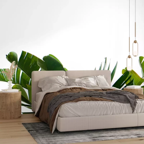 Sticker  Feuilles vertes de plantes tropicales