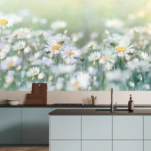 Papier peint  Pâquerettes couleurs claires dans le pré