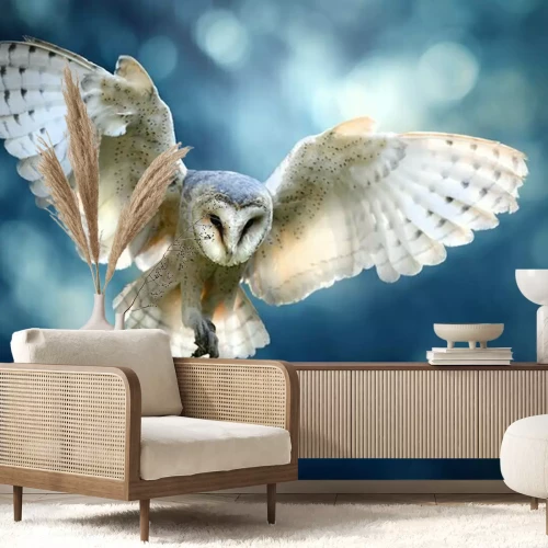 Papier peint  Chouette effraie en vol lors en train de chasser