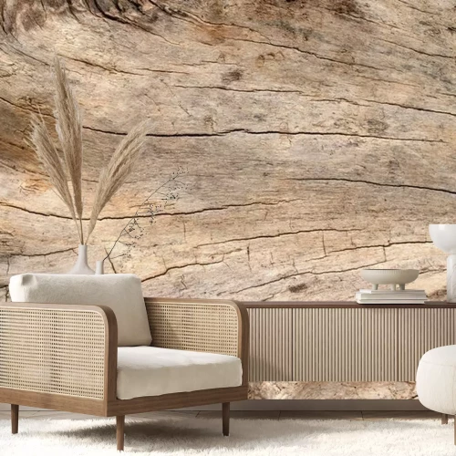 Papier peint  Texture planche fissurée