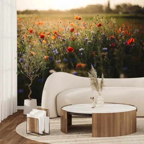 Papier peint  Une prairie de coquelicots et de bleuets