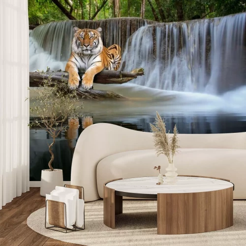 Papier peint  Tigre se reposant près d'une chute d'eau dans une jungle