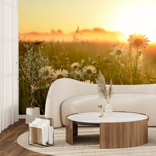 Papier peint  Prairie fleurie au coucher du soleil