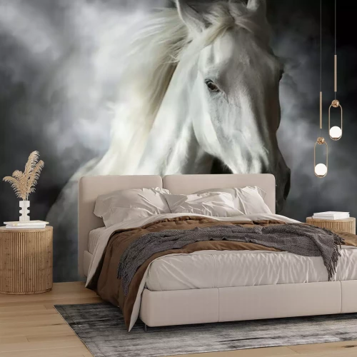 Papier peint  Portrait réaliste d'un cheval sur fond noir