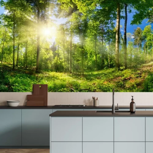 Papier peint  Rayons de soleil dans une forêt verte entre les arbres