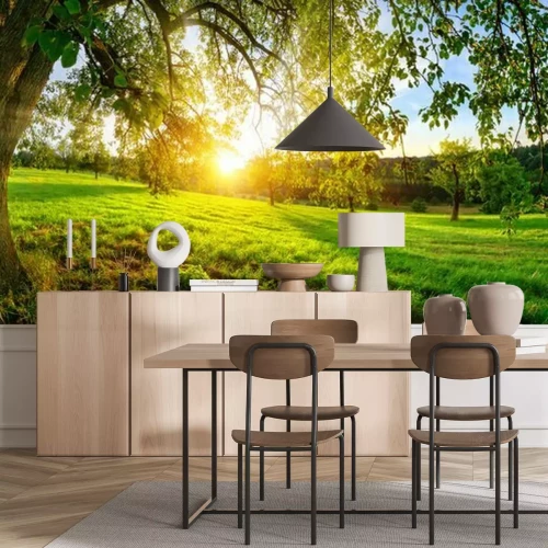 Papier peint  Prairie et arbres