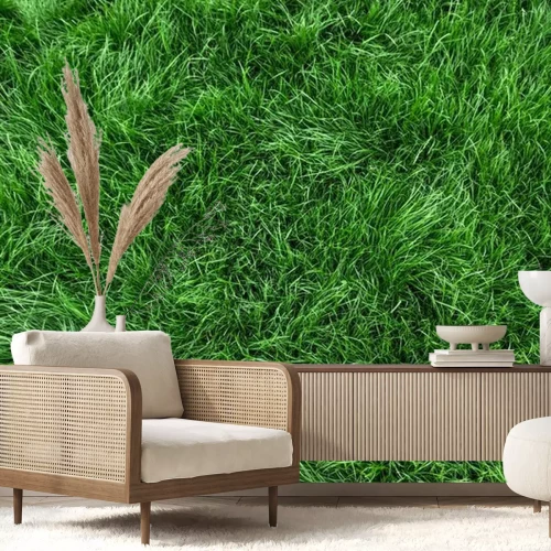 Papier peint  Herbe coupée verte