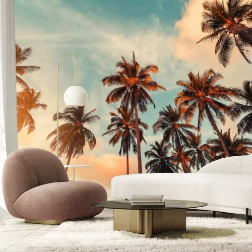 Papier peint  Palmiers sur fond de ciel au coucher du soleil