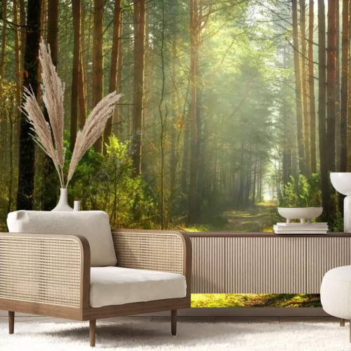 Papier peint  Sentier dans la forêt ensoleillée