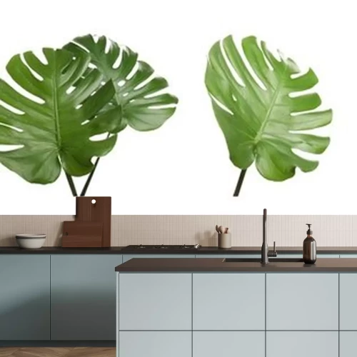 Sticker  Set with tropical Monstera leaves on white background. Banner design