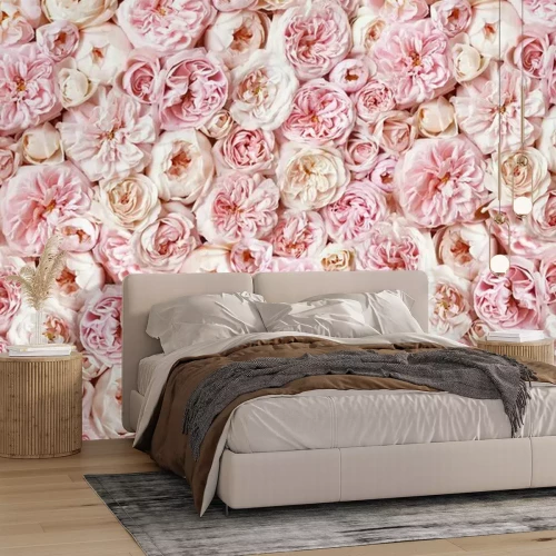Papier peint  Roses pastel roses dans une composition dense