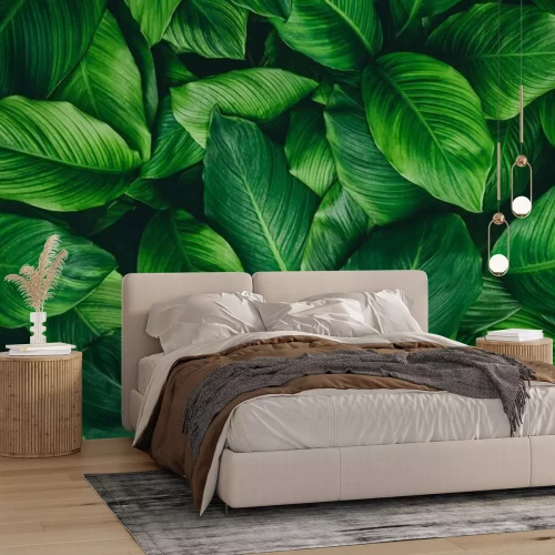 Papier peint  Feuilles vertes dans le fourré