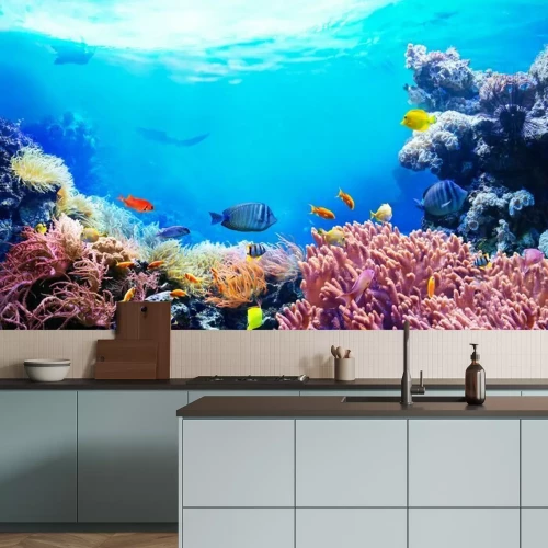 Papier peint  Récif corallien et poissons tropicaux