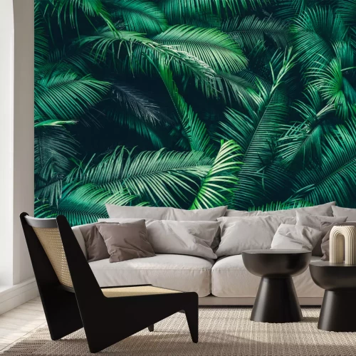 Papier peint  Tropical forest natural background, nature scene in green tone style