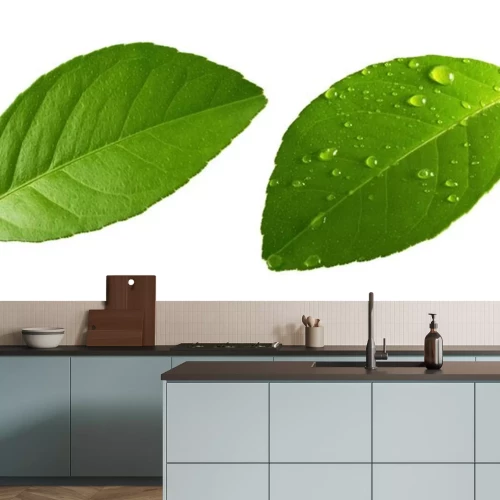 Sticker  Citrus Lemon leaf with drops isolated on white background