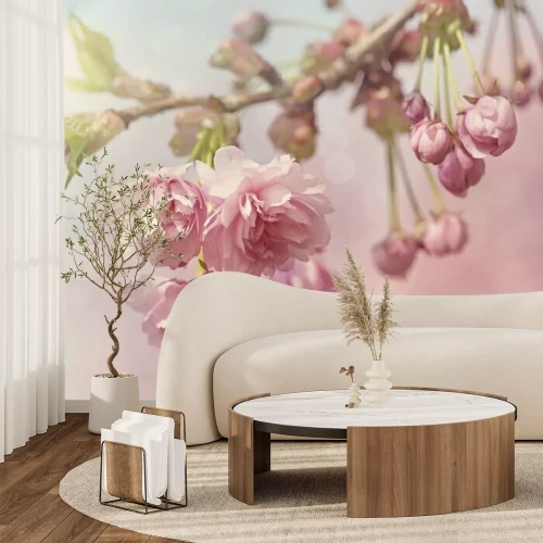 Papier peint  Arbre rose fleur de cerisier