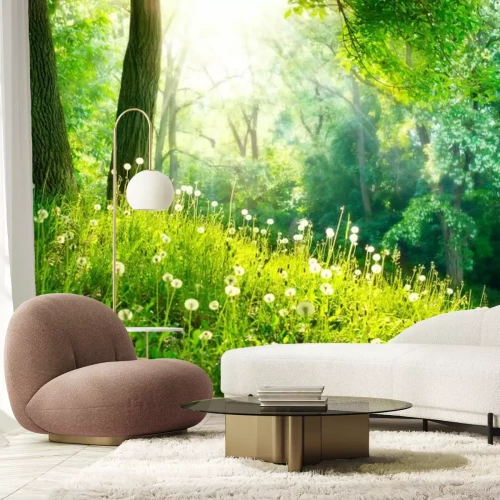 Papier peint  Pissenlits dans la forêt paysage naturel vert