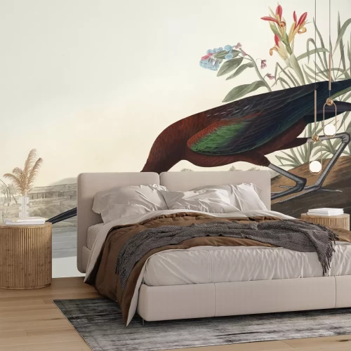 Papier peint  Ibis falcinelle