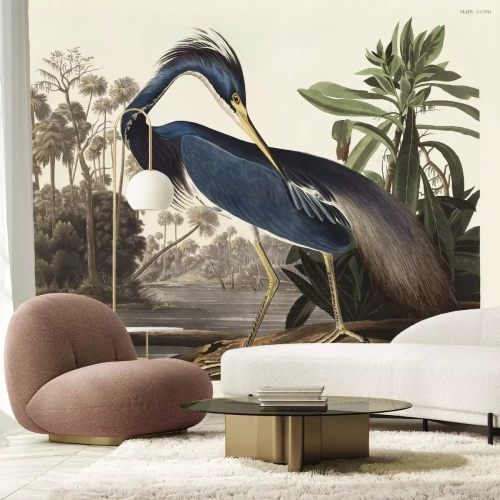 Papier peint  Aigrette tricolore