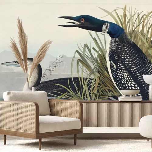 Papier peint  Plongeon huard