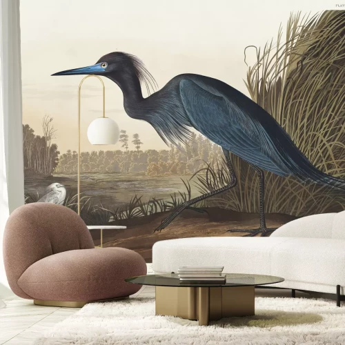 Papier peint  Grue de paradis