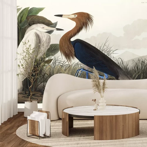 Papier peint  Héron pourpré