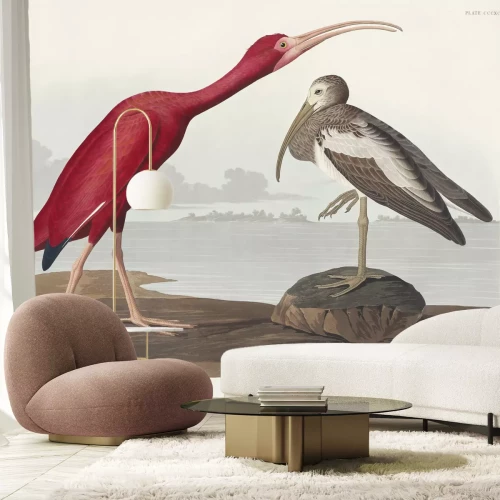 Papier peint  Ibis rouge