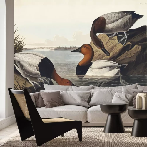 Papier peint  Dendrocygne à dos blanc