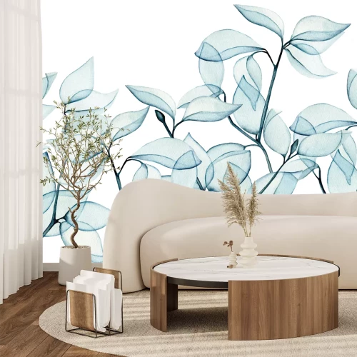 Papier peint  Feuilles d'eucalyptus