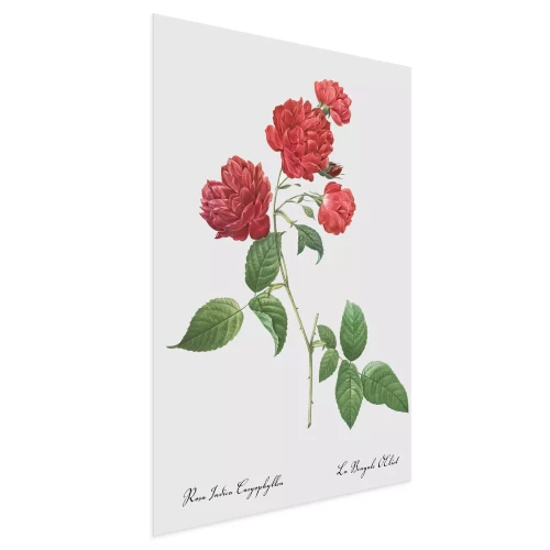 Visualisation du produit