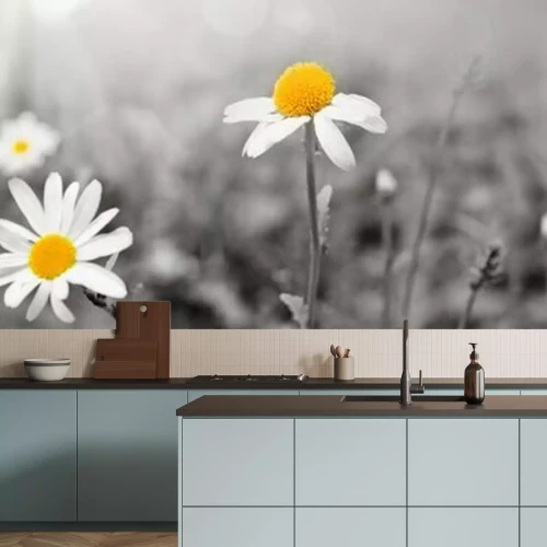 Papier peint  Pâquerettes noir et blanc avec un accent jaune