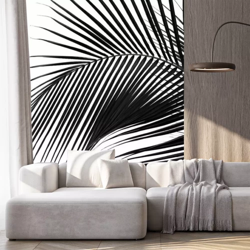 Papier peint  Motif noir et blanc avec des feuilles de palmier